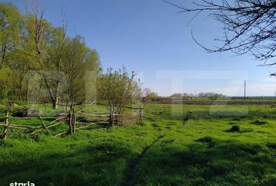 Teren de 29600 mp, în Șimnicu de Sus