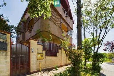 Casa zona Dambovita, Timisoara - 19