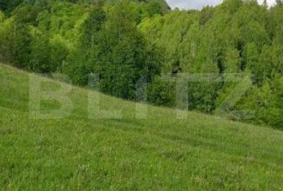 Teren de 4500 mp, în Vidra - 3