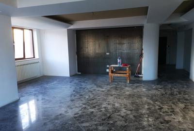 Penthouse Gavana Platou + terasa 470mp - 4
