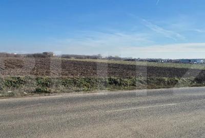 Teren de 7300 mp, în Periferie