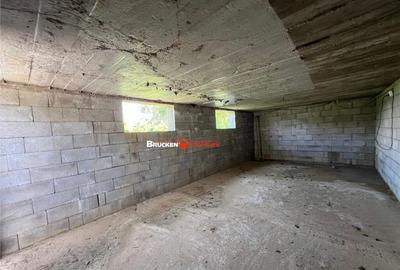 Casă cu 5 camere cu Teren 4316 Mp în Petreu - 3