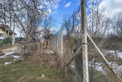 Teren în Păulești - 3