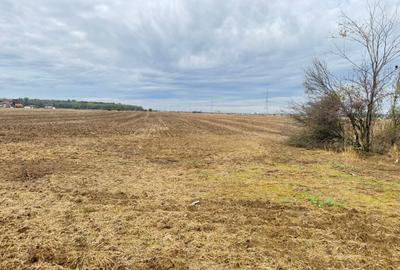 Teren intravilan de 400 mp, în Măgurele - 7