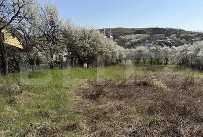 Teren de 2743 mp, în Crișeni - 2
