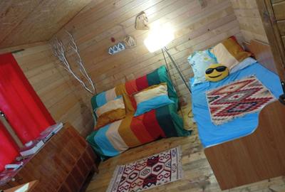 Casă cu 2 camere în Bițina-Pământeni - 5