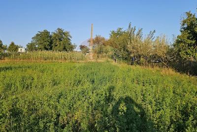 Teren intravilan 1,733mp Mitocasi, Suceava - 22