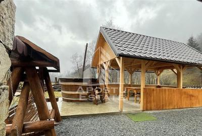 Cabana de inchiriat in Apuseni, Ciubar, Fara vecini, Fois... - 2