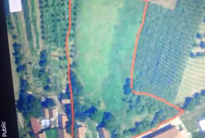 Teren Construcții intravilan de 4600 mp, în Gepiu - 2