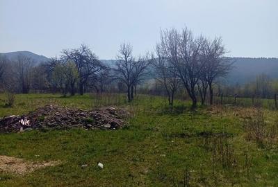 Spațiu comercial, în Central - 1