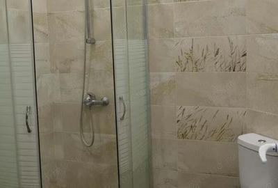 Inchiriem garsoniera in zona Bartolomeu - 2