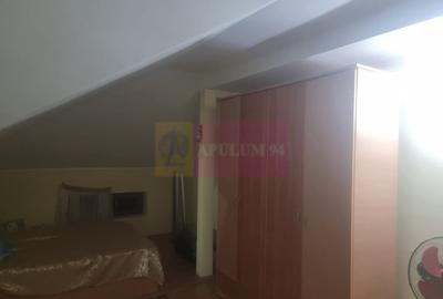 Casă cu 7 camere cu Teren 1500 Mp în Islaz - 13