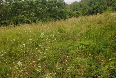 Teren în Central - 6