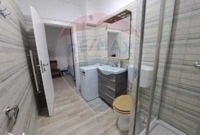 Garsonieră în Valea Borcutului - 2