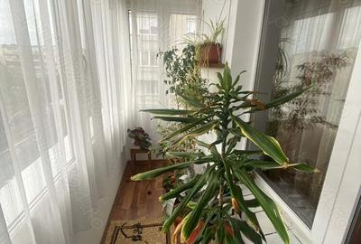 Apartament 3 camere Etaj 3 complet mobilat utilat - 4