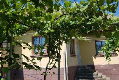 Casă cu 4 camere în Miluta - 4