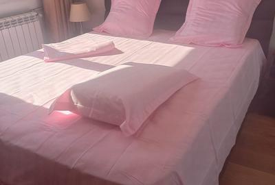 Apartament cu 3 camere decomandat, mobilat în Bucur Obor - 5