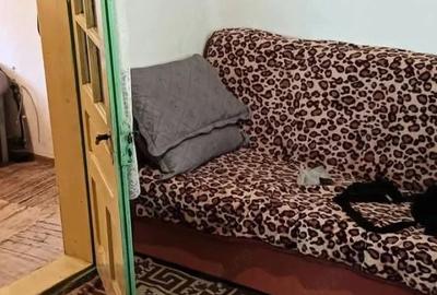 Casă cu 4 camere cu Teren 3500 Mp în Podgoria - 1