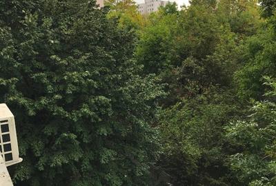 Apartament cu 2 camere semidecomandat în Drumul Taberei - 10