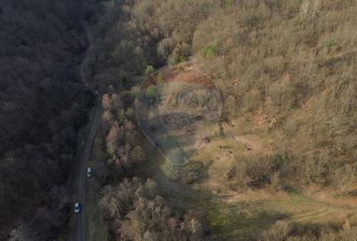 Teren intravilan de 5000 mp, în Coaș - 10