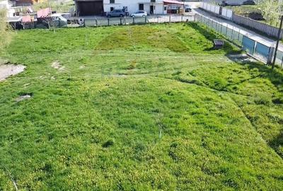 Teren agricol intravilan de 5174 mp, în Ilișești - 9