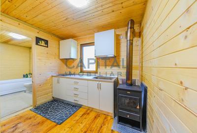 Casa cu teren de 3100 mp de vanzare in comuna Cornesti - 12