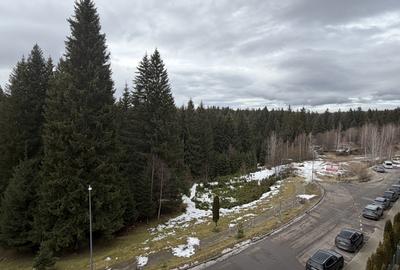 Apartament cu 2 camere semidecomandat, mobilat în Poiana Brașov - 19