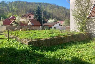 Casă cu 4 camere în Moneasa - 1