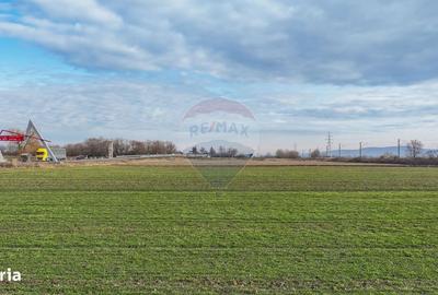 Spațiu comercial, în Lunca Calnicului - 8