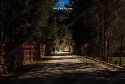 Teren de 738 mp, în Poiana - 11