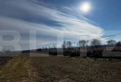 Teren în Vințu de Jos - 8