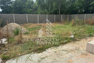 Casă individuală cu 3 camere cu Canalizare în Sânmihaiu Român - 8