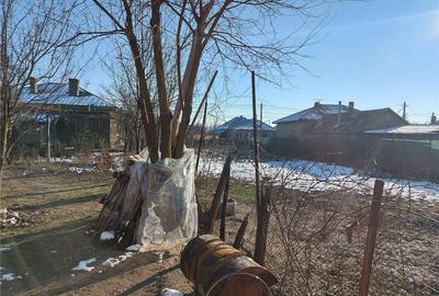 Casă în Fierbinți-Târg - 4