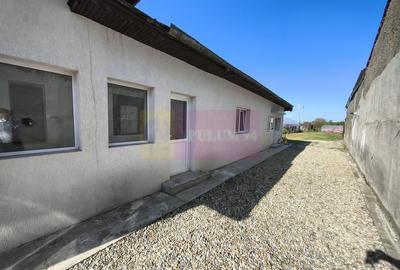 Casă individuală cu 4 camere cu Canalizare în Copăceni - 19