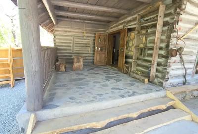 Cabana tradi?ionala - 6