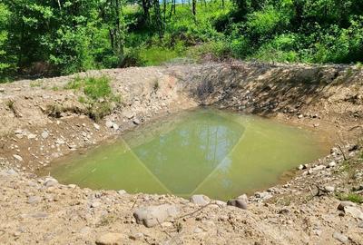 Teren de 6725 mp, în Ocna Șugatag - 2