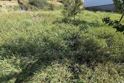 Casa individuala cu 2 camere si 495 mp teren in Sura Mare - 1