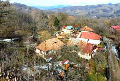 Teren Construcții de 3948 mp, în Provița de Sus - 21