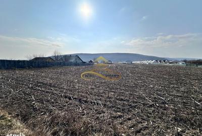 Spațiu comercial, în Hemeiuș - 6