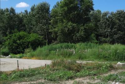 Intravilan curți-construcții lângă pădure, lângă Bucuresti, Ploiesti - 5