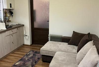 Vand apartment Busteni - 16