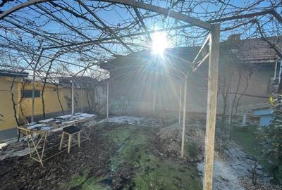 Casa impunatoare D+P+1 cu 709 mp teren si toate utilitatile in Balta Verde - 3