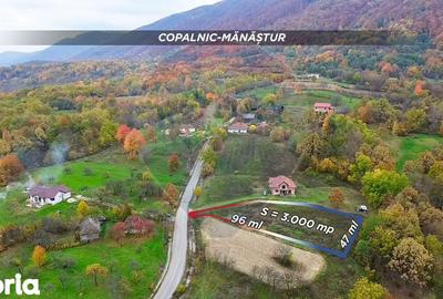 Teren de 3000 mp, în Copalnic - 1