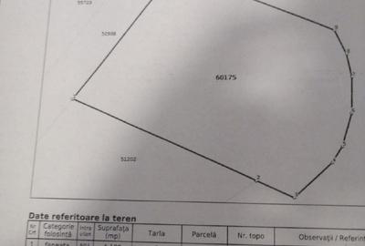 Teren în Feleacu - 1