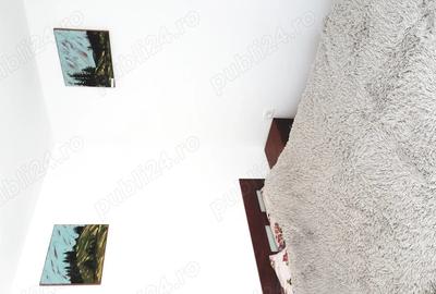 Ocazie - apartament 2 camere navodari - zona alezzi - 7