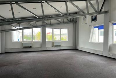 Spatiu de depozitare si productie Iuliul Maniu - 12