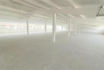 Hala 410 mp, renovata complet, Tomesti - zona industriala - 2