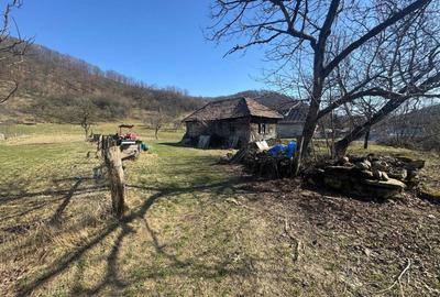 Casă cu 2 camere în Măgoaja - 2