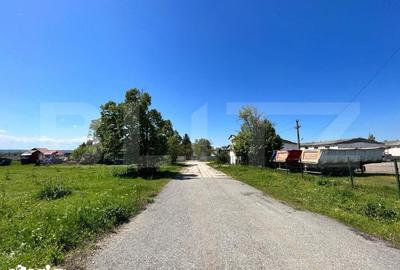 Teren de 45000 mp, în Brădești - 11