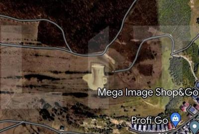 Teren de 7500 mp, în Baciu